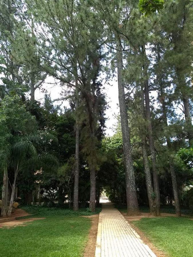 Aparthotel Mundi - Imperio - *